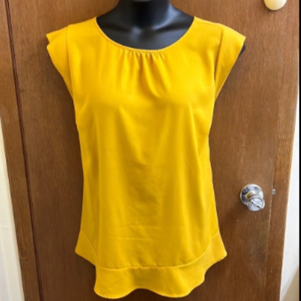 Loft Gold flounce hem flutter sleeve blouse 3X
